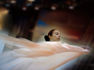 Anna Zamboni - Exhibitions